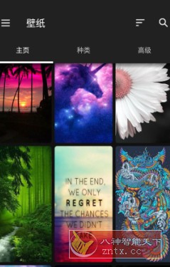 ZEDGE 铃声和壁纸v8.98.2高级版 ZEDGE 铃声和壁纸v8.98.2高级版