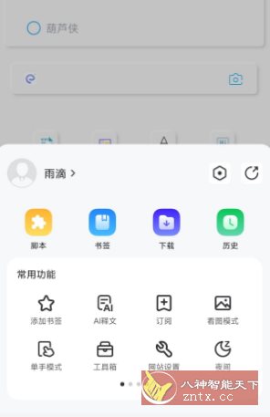 Rains浏览器3.0.4.7