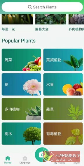 PictureThis 植物识别v5.18.0专业版