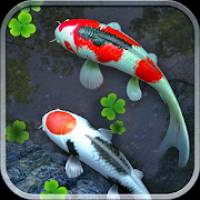 Water Garden Live Wallpaper 锦鲤3D动态壁纸2.04专业版